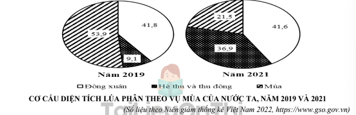 Biểu đồ cơ cấu diện tích phân theo vụ lúa của nước ta, năm 2019 và 2021